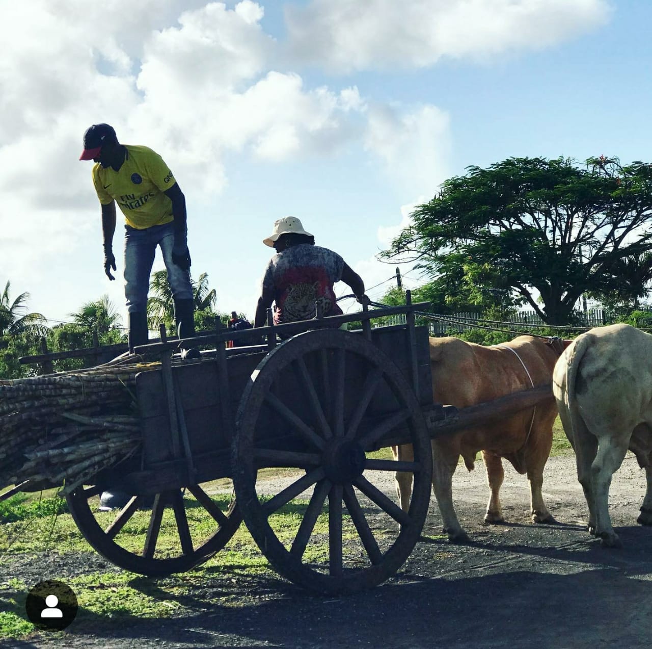 Rhum Agricole Gwadinina FWI 100% artisanal Guadeloupe
